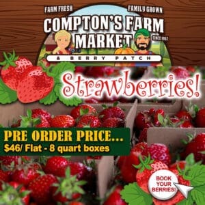 Pre Order Strawberry Flats