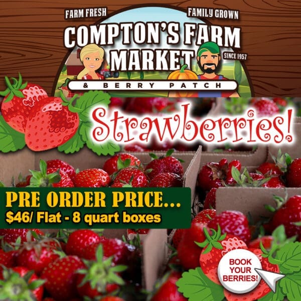 Pre Order Strawberry Flats