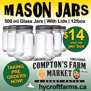 Mason Jars 500 ml